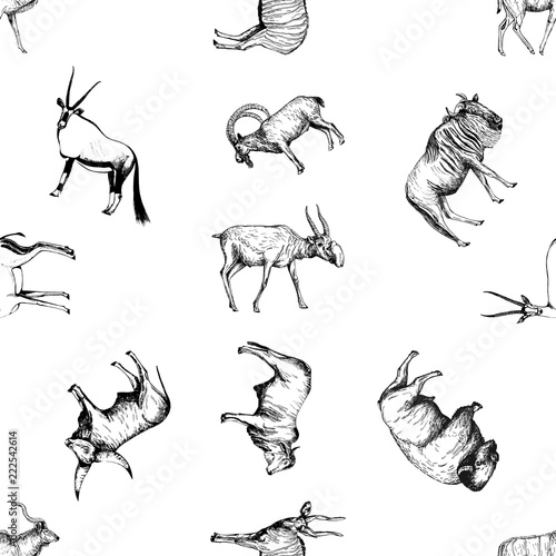 Seamless pattern of hand drawn sketch style ungulates isolated on white background. Vector illustration.
