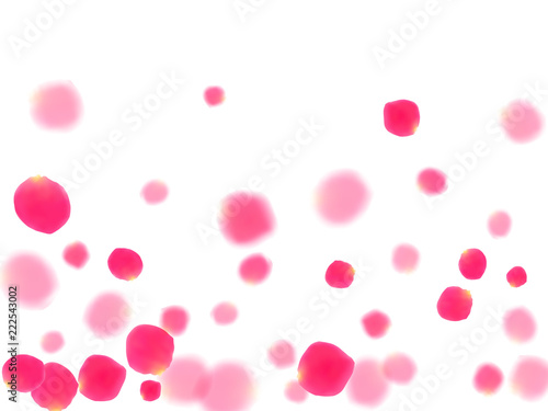 Pink rose petals falling vector valentine background.