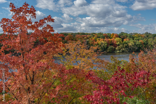 Fall scene of colorful orange, red, yellow, and green trees seen from above the Mississippi River in St Paul Minnesota