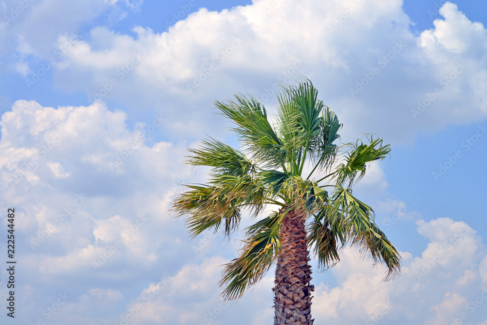 veduta panoramica di alcuni angoli delle spiagge di Grottammare, Marche, Italia