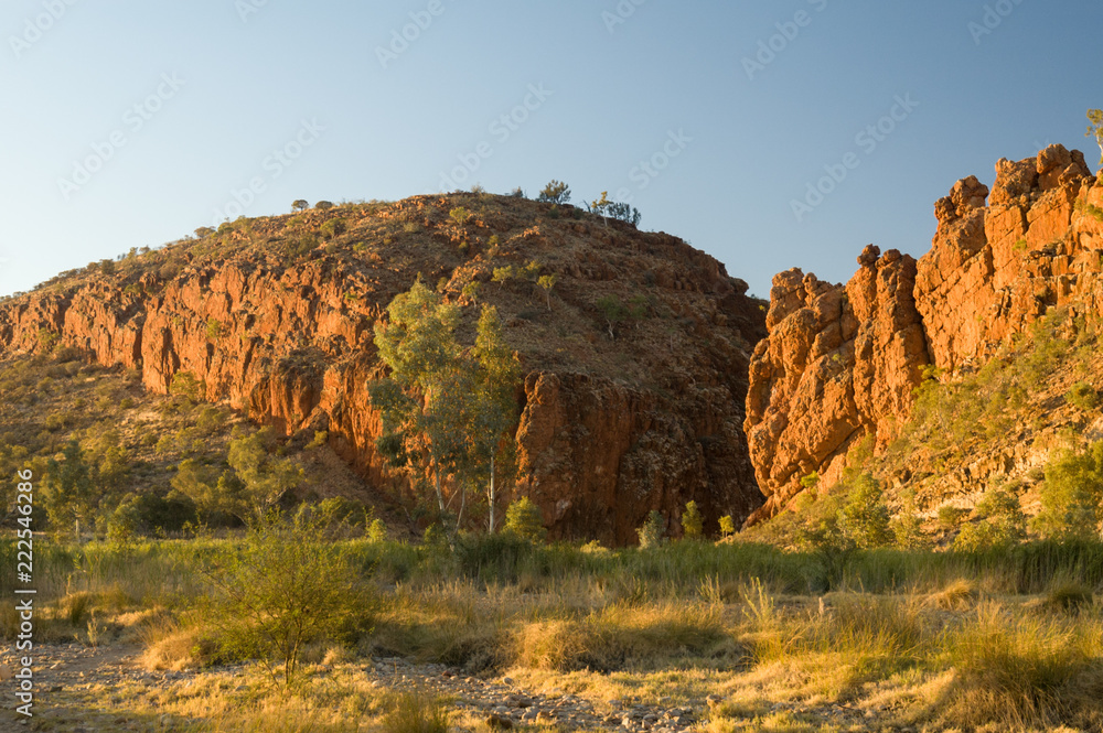 Glen Helen Gorge in warm, early morning light. View from the dry bed of the Finke River, West MacDonnell National Park, Northern Territory, Australia.
