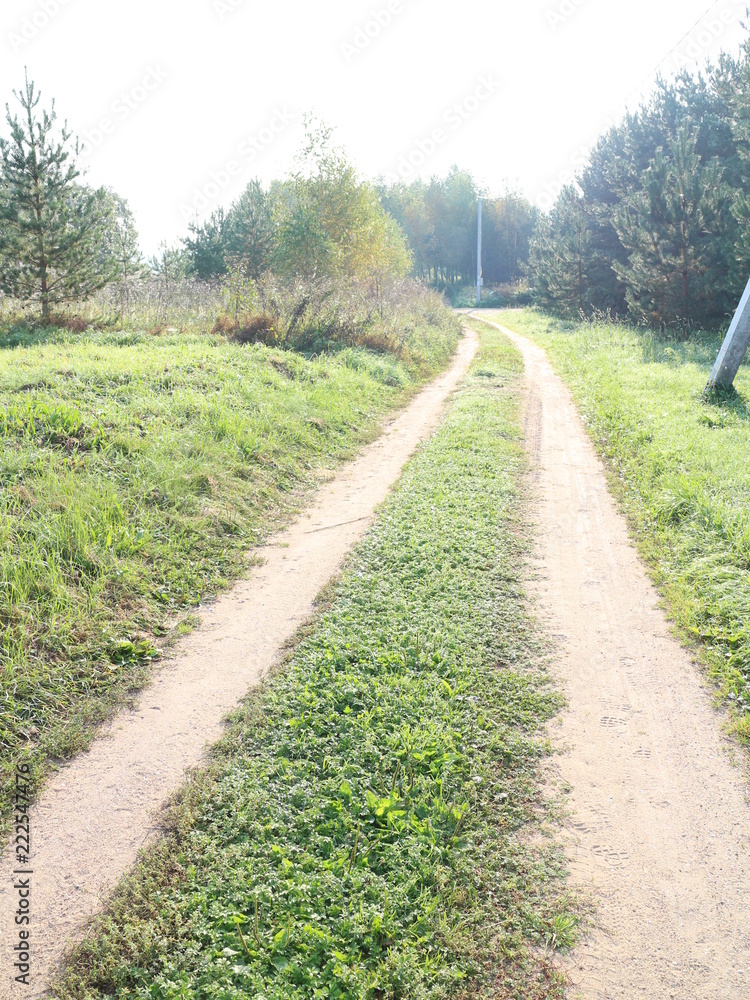 Country road in the summer Country road in the summer