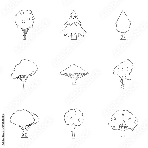 Woody plants icons set. Outline illustration of 9 woody plants vector icons for web