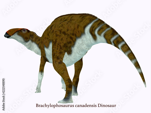 Brachylophosaurus Dinosaur Tail with Font photo