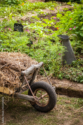 jardin potager organique légumes automne saison cabane jardinier photo