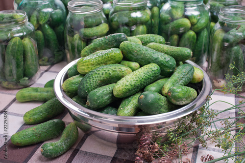 Delicious marinated cucumbers in a metal plate. Preparation of cucumbers for home canning pickles.