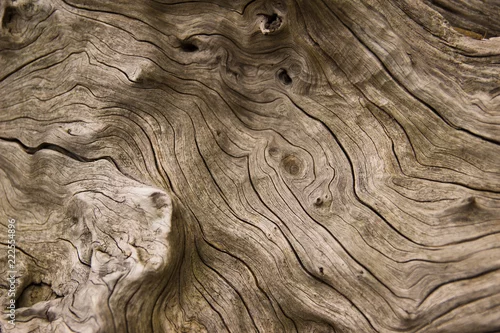 Panel kuchenny z motywem drift wood 