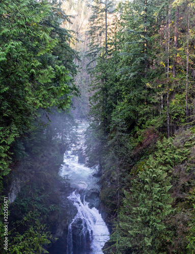 Lynn Canyon, North Vancouver, BC, Canada.