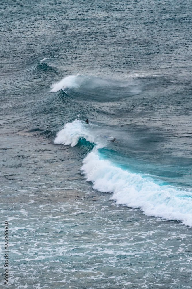 Fototapeta premium Surfers Phillip Island coast, Australia