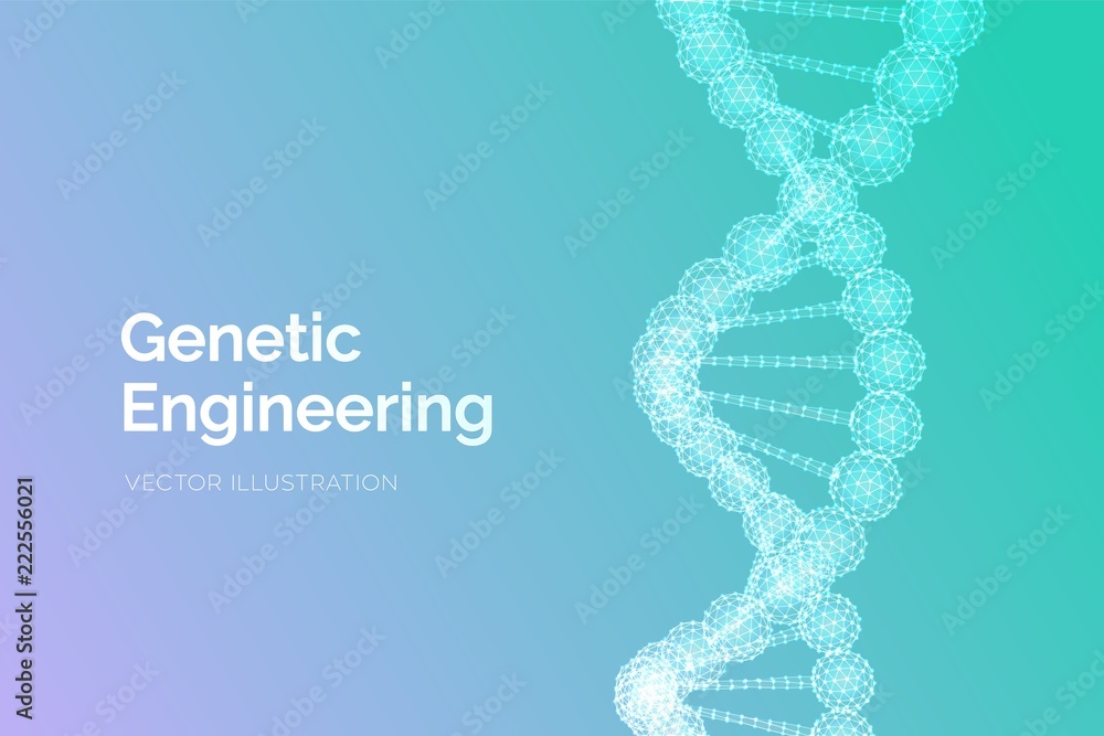 DNA sequence Wireframe DNA molecules structure mesh DNA code editable DNA sequence Wireframe DNA molecules structure mesh DNA code editable