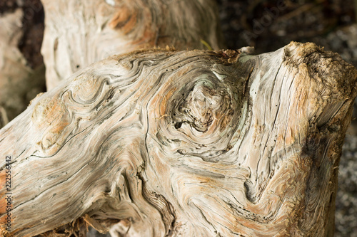 drift wood gain 