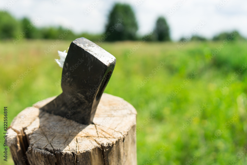 Broken axe on the background of green meadows. Broken axe on the background of green meadows.