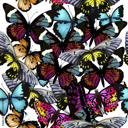 Fashion beautiful vector pattern with colorful butterflies on white