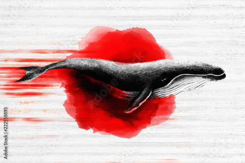 Fotografija Illustration idea for banning whaling in Japan.