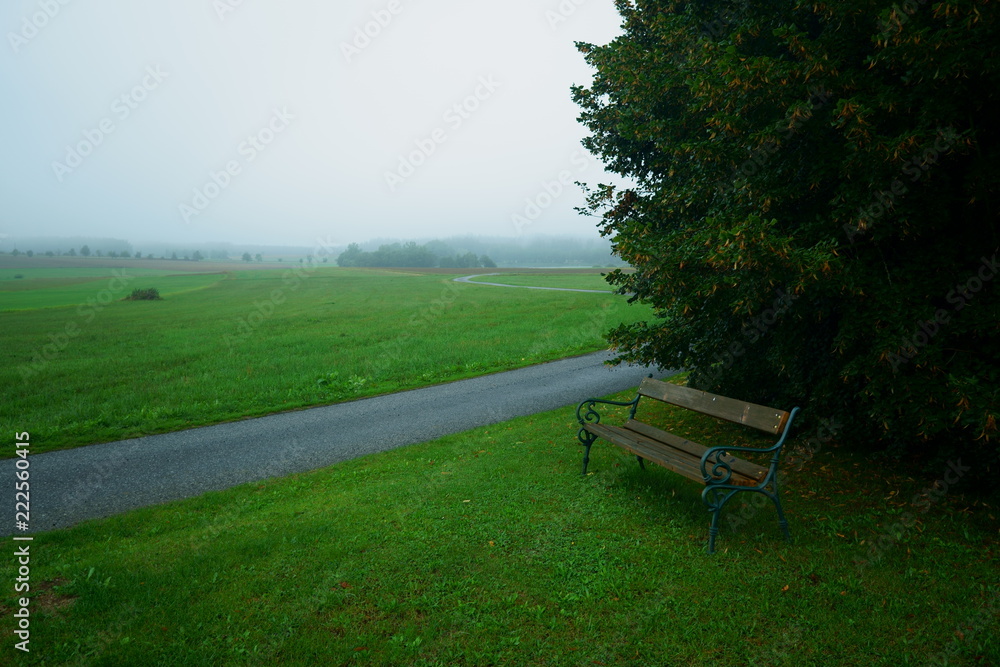 Bench sitting alongside a narrow road in Austria Bench sitting alongside a narrow road in Austria