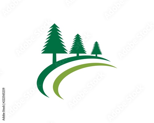 Cedar tree Logo template vector icon illustration design