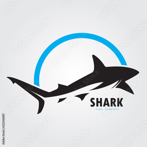 vector shark logo