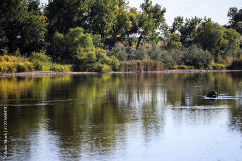 Wyoming Riverscape C1