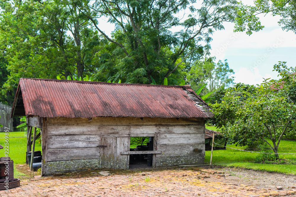 Isolated image of worn barn wood abandoned slave cabin with various antique items Isolated image of worn barn wood abandoned slave cabin with various antique items