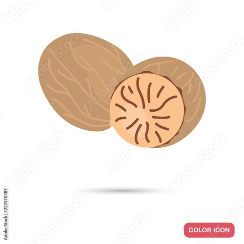 Nutmeg color flat icon