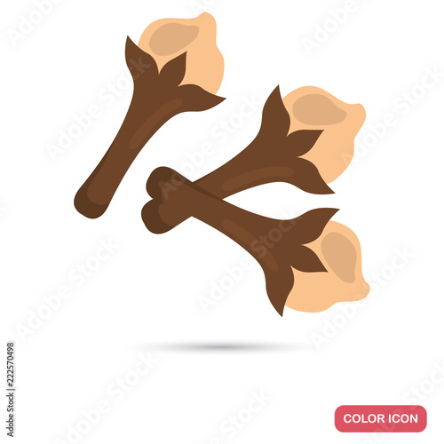 Clove spice color flat icon