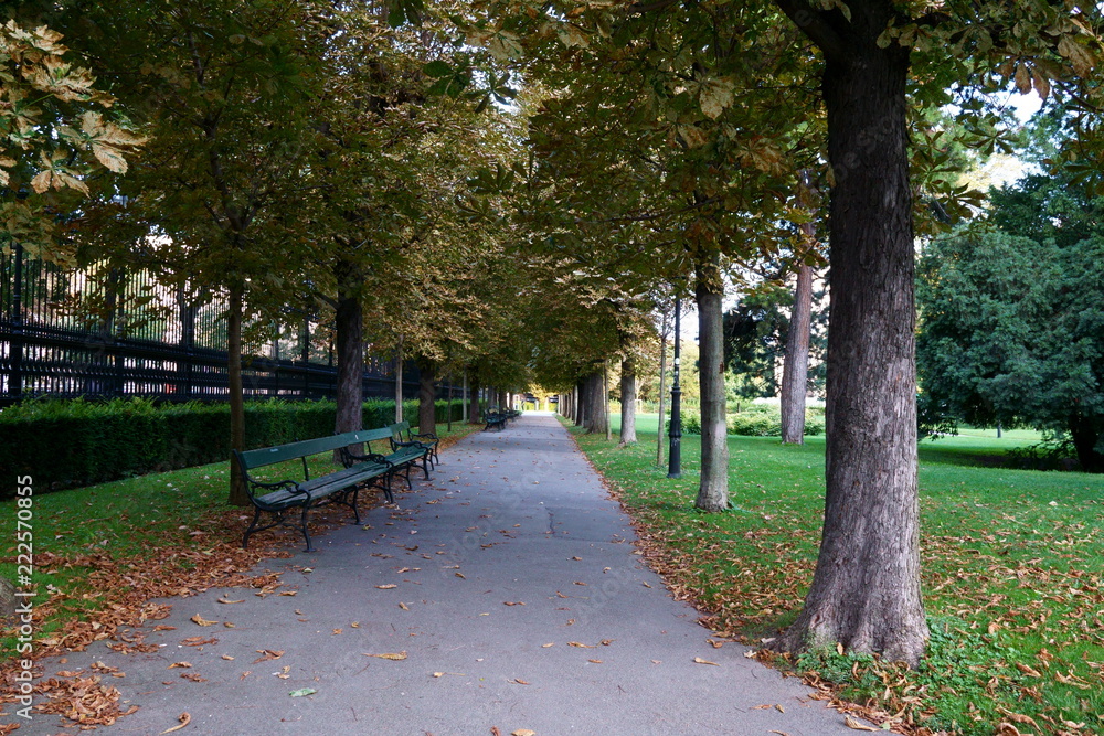 Obraz premium Quiet time on the park bench