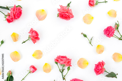 Floral pattern of roses flowers and petals on white background. Flat lay, top view.