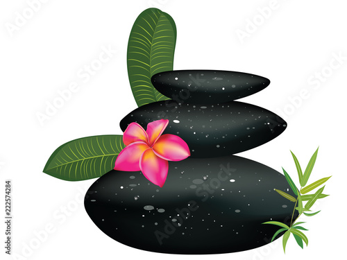 Black pebble with flower