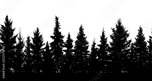 Seamless pattern. Silhouette of forest. Vector