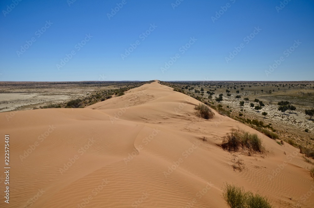 Desert dune