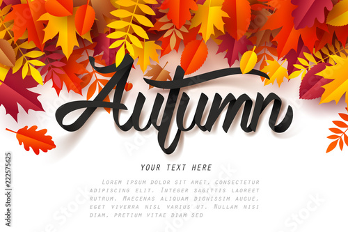 Paper art of Autumn calligraphy lettering on fallen leaves