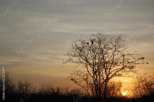 Sunset on the open country