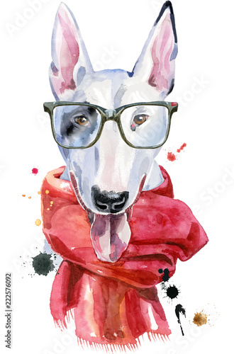 akwarela-portret-bull-terrier-w-okularach-i-czerwony-szalik