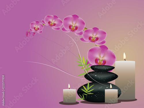 Pebbles with orchid