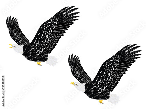 Stylized bald eagle
