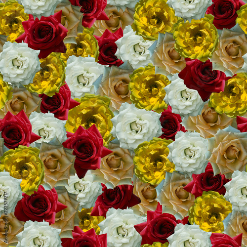 Seamless solid pattern of natural roses. red, white, yellow, beige. lie beside without a gap.