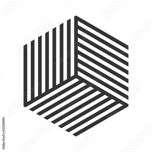 Hexagon vector geometric st...