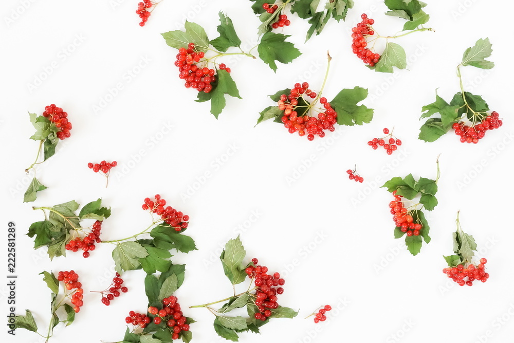 Autumn composition background pattern. branches of red viburnum on white background. top view. copy space