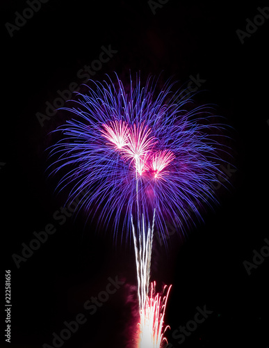 Color full fireworks, Fireworks, Fireworks on black background