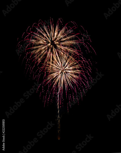 Color full fireworks, Fireworks, Fireworks on black background