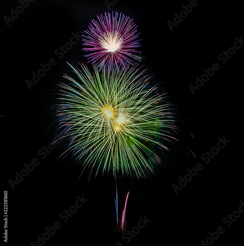 Color full fireworks, Fireworks, Fireworks on black background