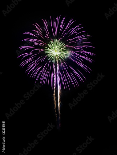 Color full fireworks, Fireworks, Fireworks on black background