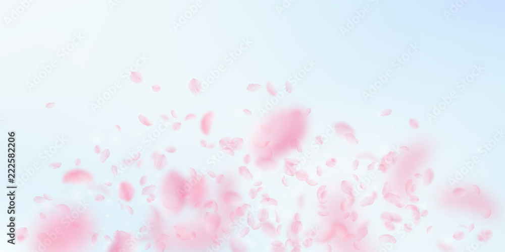 Sakura petals falling down. Romantic pink flowers explosion. Flying petals on blue sky wide backgrou