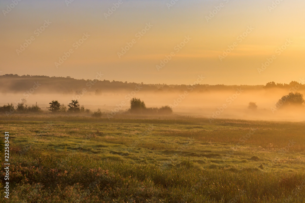 Fog over the green meadow in orange rays of rising sun in autumn morning. Nature landscape