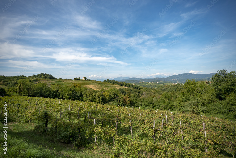 Fototapeta premium Landschaft im Friaul