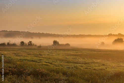 Fog over the green meadow in orange rays of rising sun in autumn morning. Nature landscape © Vladimir Zhupanenko