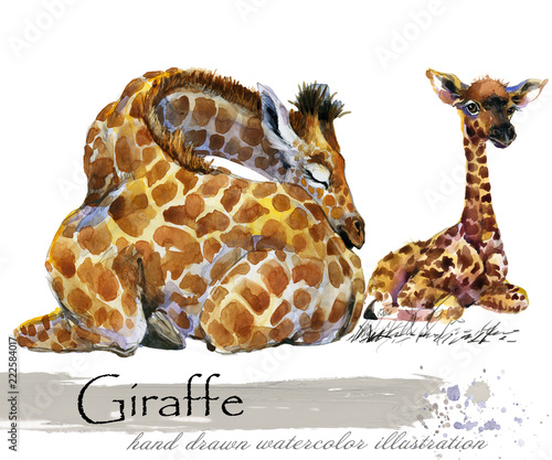 Photography giraffe hand drawn watercolor illustration