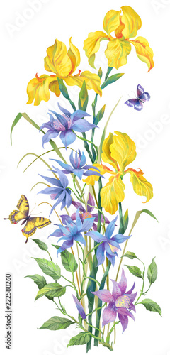 Vertical composition of yellow irises and clematis. Isolated on white background