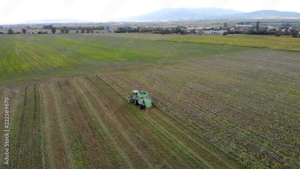 Aerial view of Combine harvester agriculture machine harvesting golden ripe wheat field. Aerial view of Combine harvester agriculture machine harvesting golden ripe wheat field.