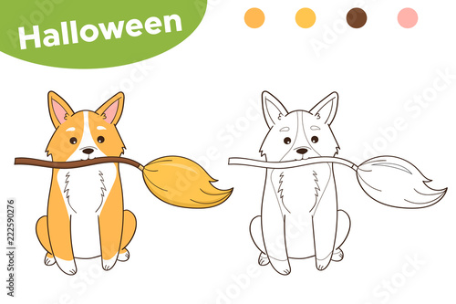Halloween coloring page for children. Welsh Corgi dog with witch broom.  Cartoon doodle style. Vector illustration